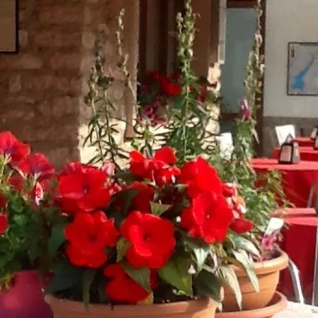 Albergo Centrale Hotel 2*